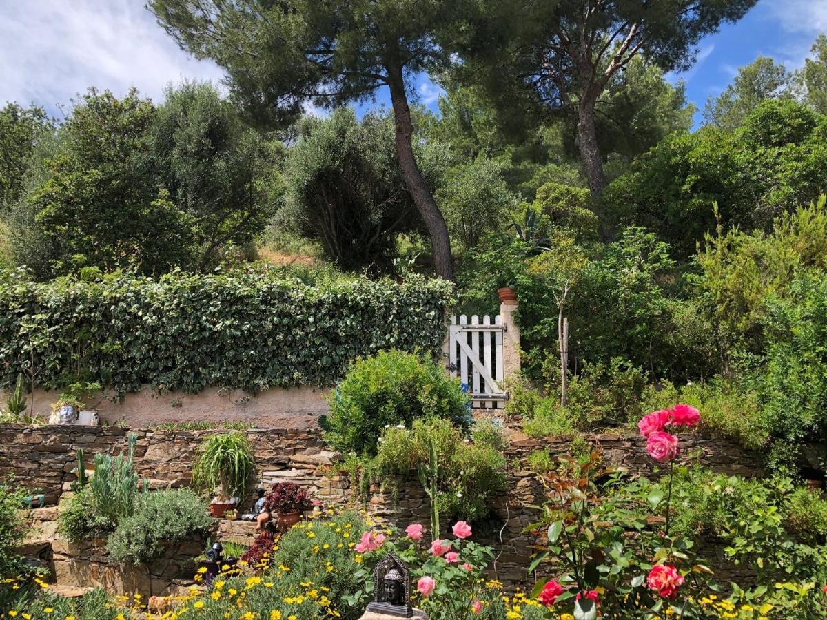 Logement Zen Sur La Colline Aux Mimosas Hyères المظهر الخارجي الصورة