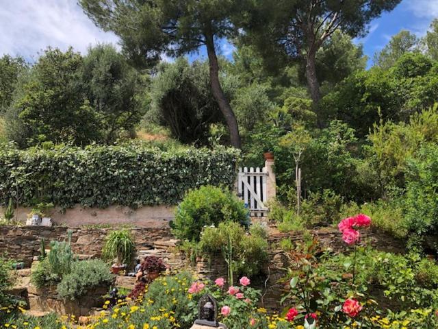 Logement Zen Sur La Colline Aux Mimosas Hyères المظهر الخارجي الصورة